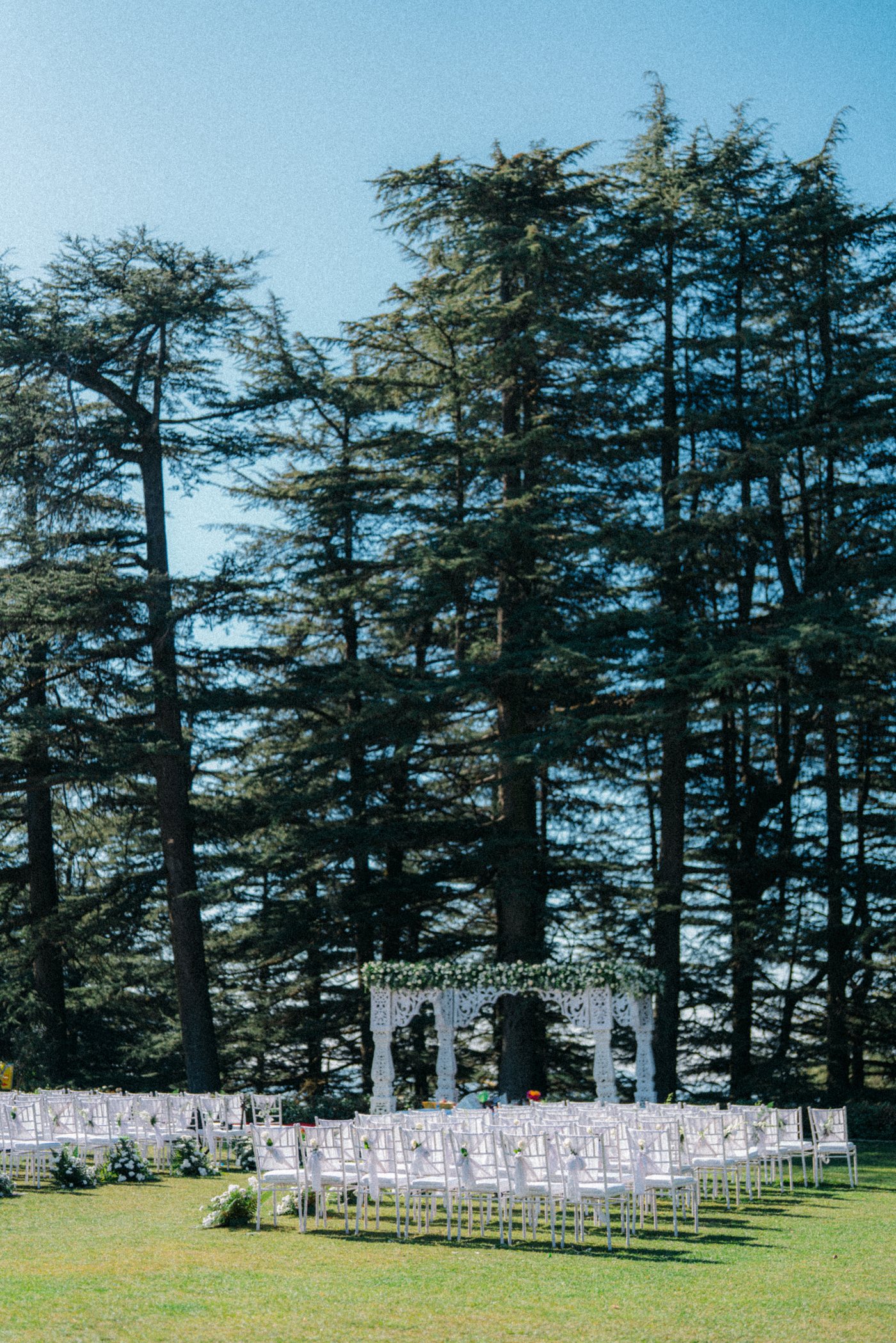 A white mandap among tall deodar pines, rows of white chairs in front